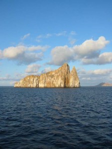 IMG 0004                